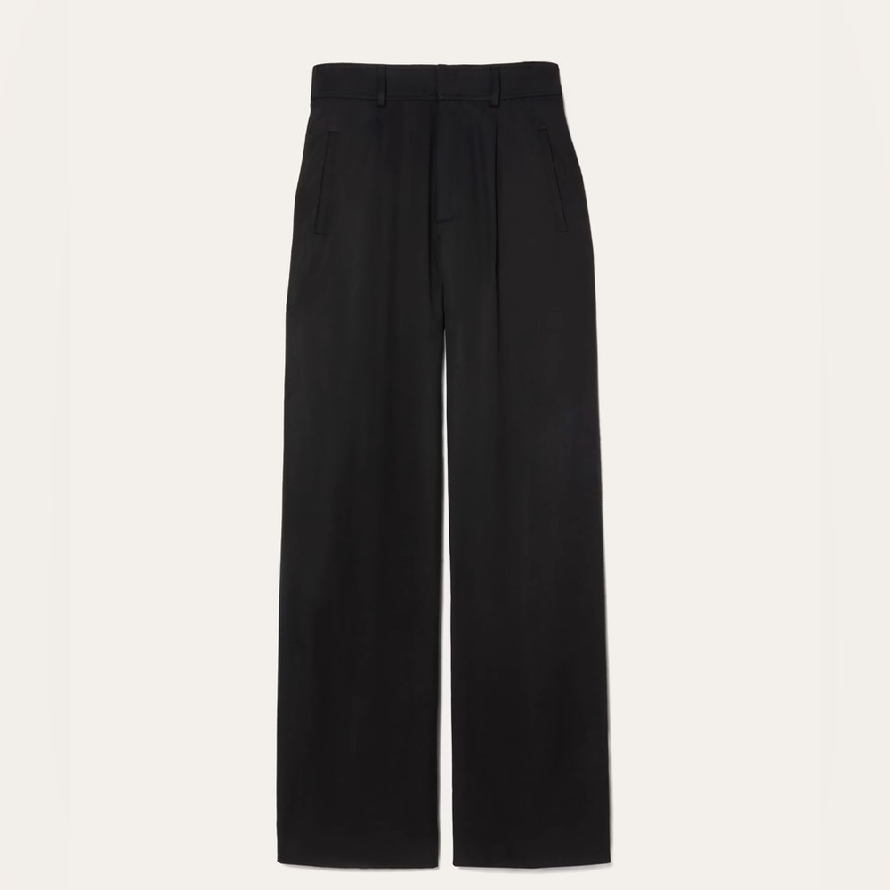 Everlane The Draper Pleated Pant in Buttersmooth, Size 18S Wide Leg High Pants